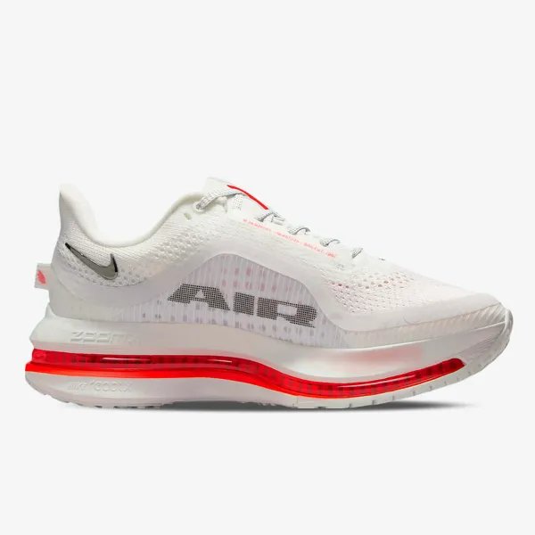 Nike Pegasus Premium